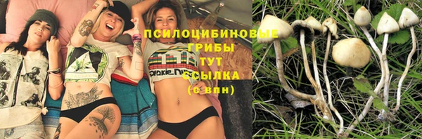 крисы Абинск