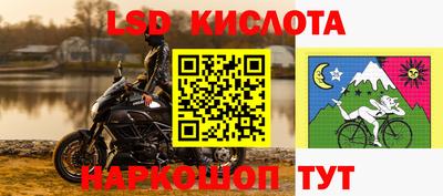 apvp Краснодар