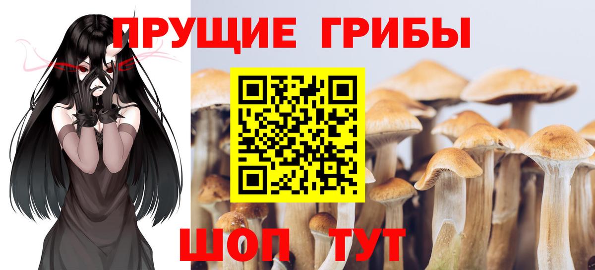 Псилоцибиновые грибы ЛСД  Вход с VPN  Тавда  Псилоцибиновые грибы MAGIC MUSHROOMS 